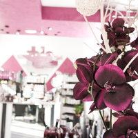 Orchidee bei Meryem Dein Friseur